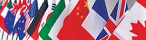 醫學翻譯